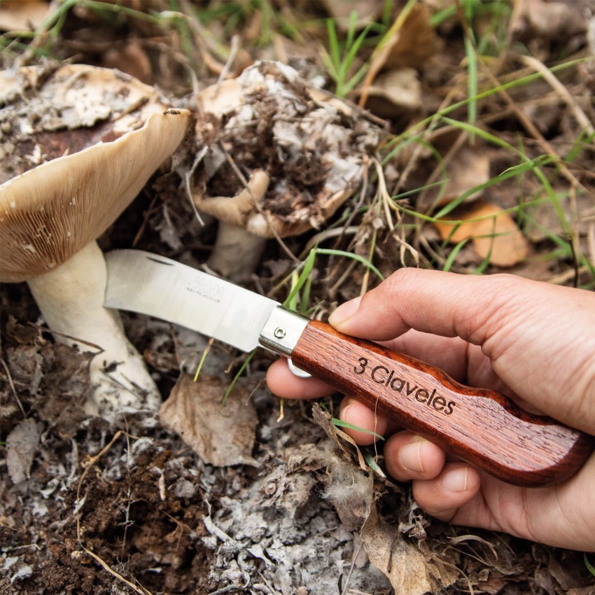 Navaja recolección y setas con bloqueo de hoja