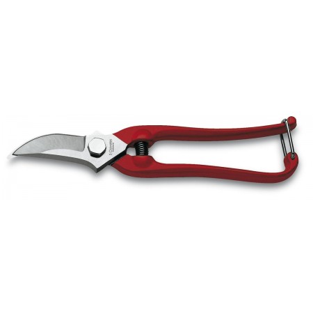 Tijera Vendimia y Jardín